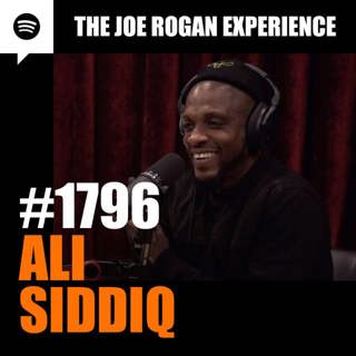 The Joe Rogan Experience