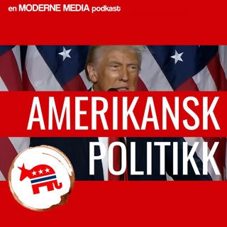 Amerikansk politikk