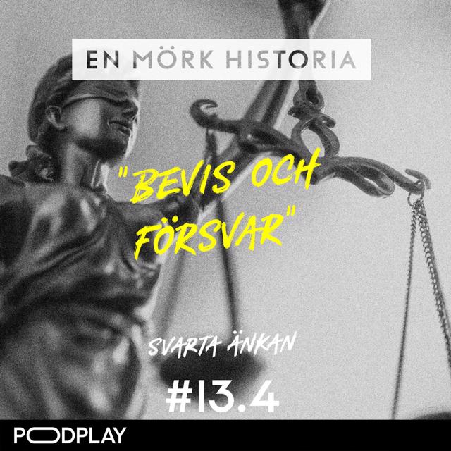 Svarta änkan 4/5 - ”Bevis och försvar”