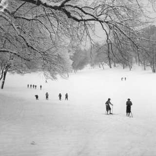 Hagaparken - plats för statskupper och promenader