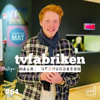 TV-fabriken