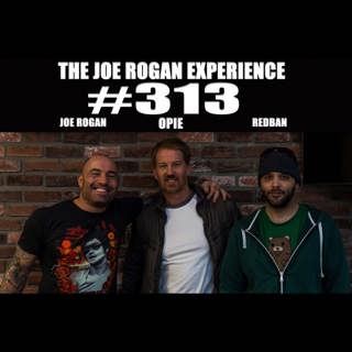 The Joe Rogan Experience