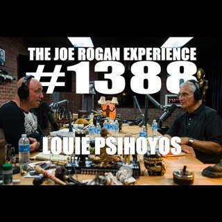 The Joe Rogan Experience