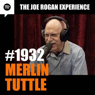 The Joe Rogan Experience