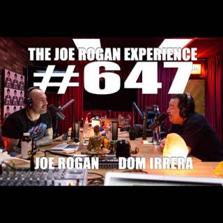 The Joe Rogan Experience