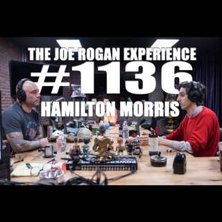 #1136 - Hamilton Morris