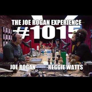 #1015 - Reggie Watts