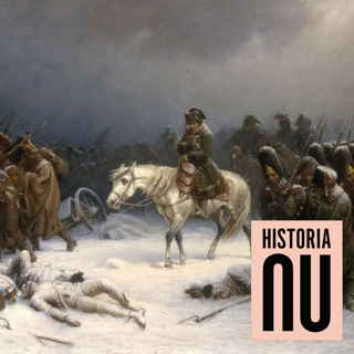 Napoleonkrigen II 1809-1815: Den slutliga konfrontationen