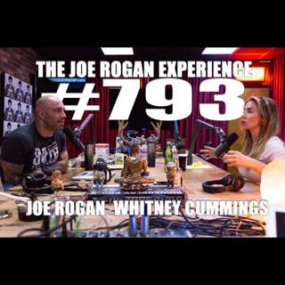 The Joe Rogan Experience