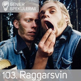 103.Raggarsvin