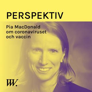 Perspektiv - med Per Grankvist