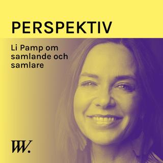 Perspektiv - med Per Grankvist