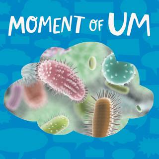 Moment of Um