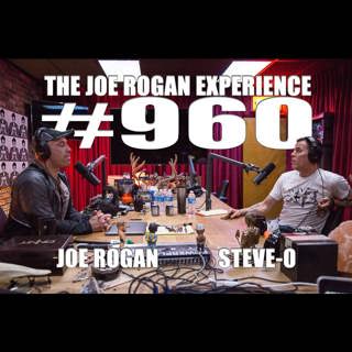 The Joe Rogan Experience