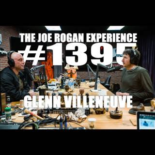 The Joe Rogan Experience