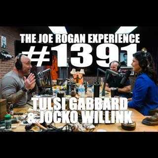 The Joe Rogan Experience