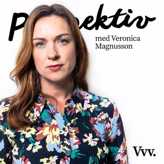 Perspektiv - med Per Grankvist