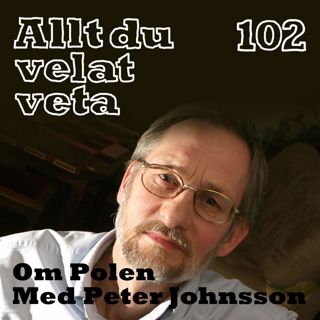 Allt du velat veta