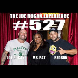 The Joe Rogan Experience