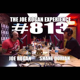 The Joe Rogan Experience