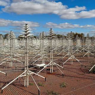 Den enorma skogen av antenner som ska lösa universums gåtor