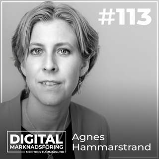 IMY-granskning, Data Privacy Framework och cookies – Agnes Hammarstrand #113