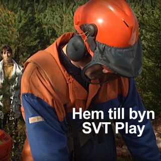 Skogsfredag #228 - Hem till byn i finväder och Q2-rapporter