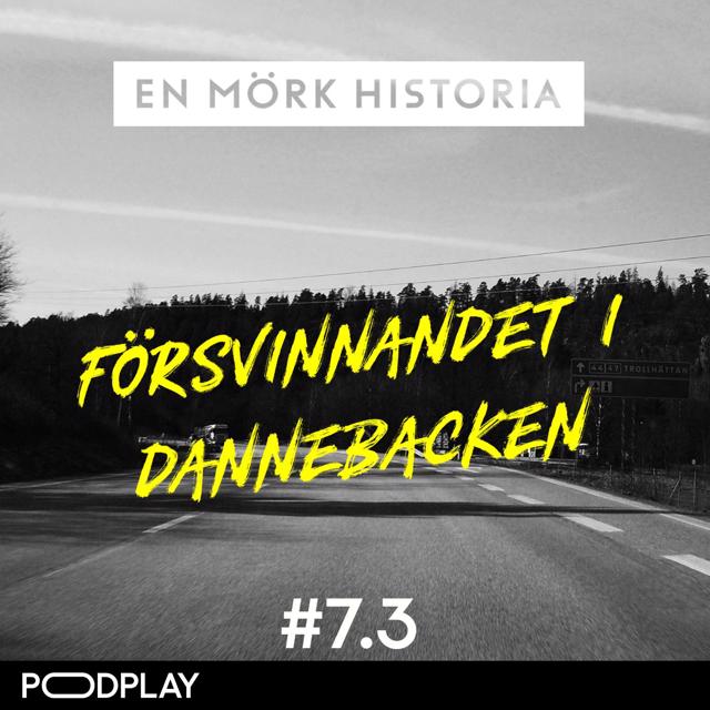 Försvinnandet i Dannebacken - Del 3/3