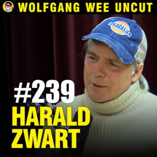 Harald Zwart | Hollywood, Filmproduksjon, Regissørrollen, Filmmusikk, James Horner, Karate Kid, Lange Flate Ballær, Den 12. Mann, Thomas Gullestad, Pitching