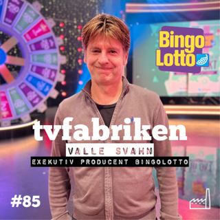 TV-fabriken