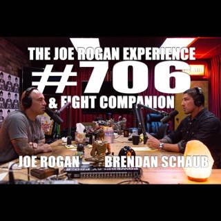 #706 - Brendan Schaub & Fight Companion ? (Part 2)