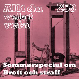 Allt du velat veta