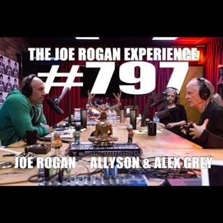 The Joe Rogan Experience