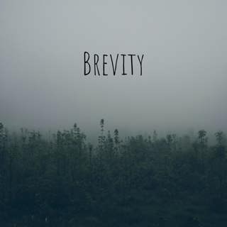 24: Brevity