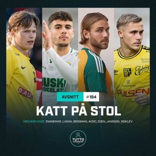 #194 Katt på stol