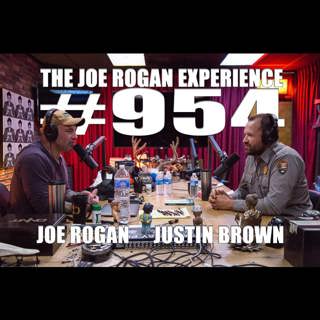 The Joe Rogan Experience