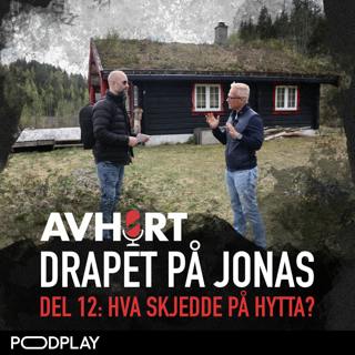 Drapet på Jonas Del 12: Hva skjedde på hytta?