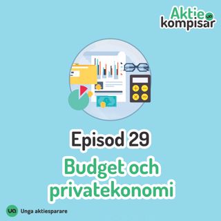 Episod 29 - Budget och privatekonomi