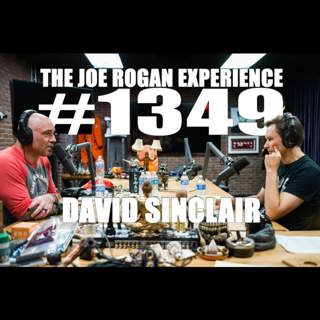 The Joe Rogan Experience