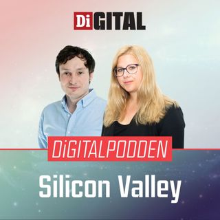 Digitalpodden Silicon Valley: Antikolonialism och ensamhet på Twitter