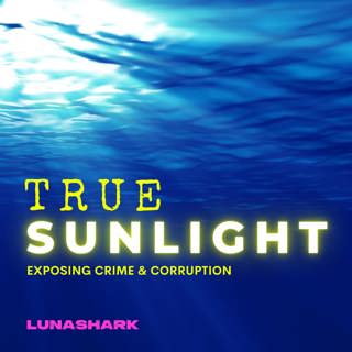 NEW Trailer: True Sunlight,  Exposing Crime & Corruption