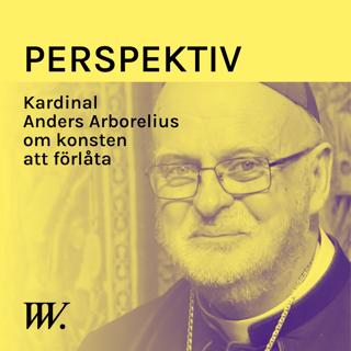 Perspektiv - med Per Grankvist