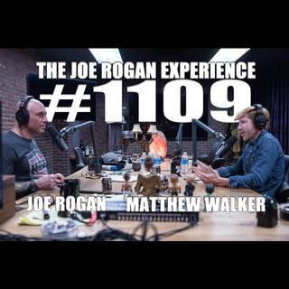 The Joe Rogan Experience