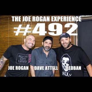 #492 - Dave Attell