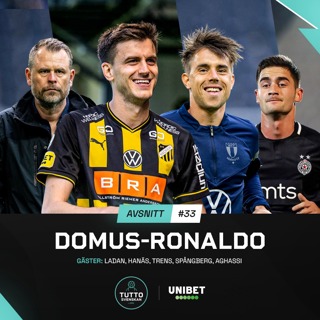 #33 Domus-Ronaldo