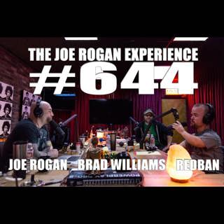 The Joe Rogan Experience