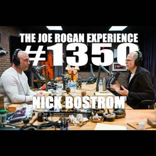 The Joe Rogan Experience