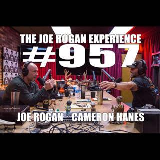 The Joe Rogan Experience