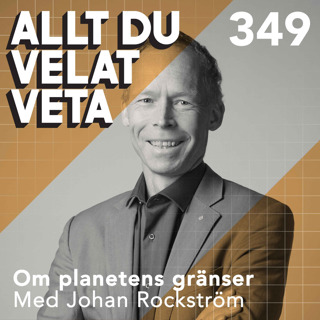 Allt du velat veta