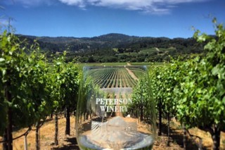 Friends of the Pod Series -- Ep 217: Peterson Winery of Dry Creek Valley of Sonoma, CA